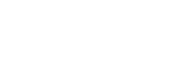 پائی زین partner logo